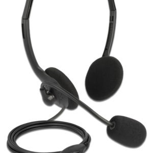 DELOCK headphones με μικρόφωνο 27178