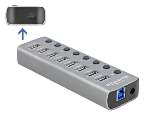 DELOCK USB hub 63264 με διακόπτες