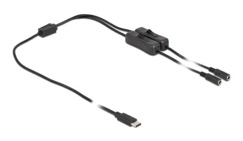 DELOCK καλώδιο USB Type-C σε 2x DC 5.5 x 2.1mm 86800