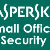 KASPERSKY Small Office Security ESD