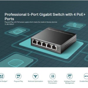 5-Port Gigabit