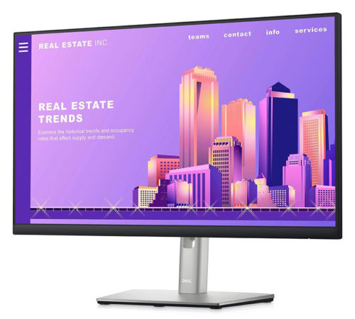 DELL οθόνη P2422H IPS-LED