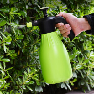 2L
