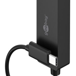 GOOBAY αντάπτορας δικτύου 76579