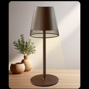 ρυθμιζόμενο