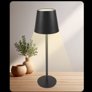 ρυθμιζόμενο