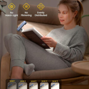 επαναφορτιζόμενος