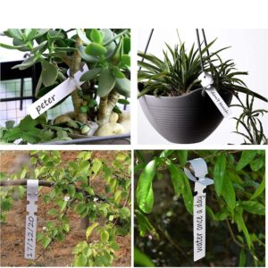 Καρτελακια Φυτων