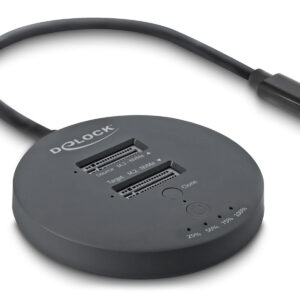 DELOCK docking station για M.2 NVMe PCIe SSD 64364
